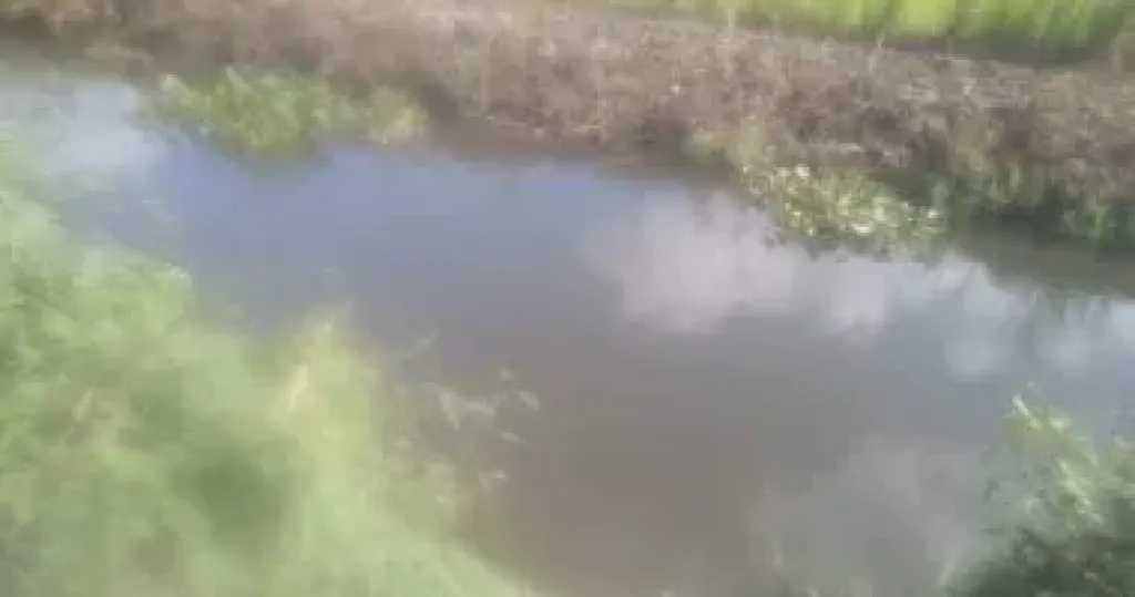 سوهاج.. العثور على جثمان فتاة غارقة بترعة ونقلها إلى مستشفى دار السلام المركزي