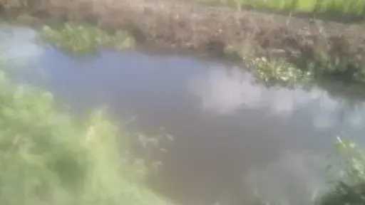 سوهاج.. العثور على جثمان فتاة غارقة بترعة ونقلها إلى مستشفى دار السلام المركزي