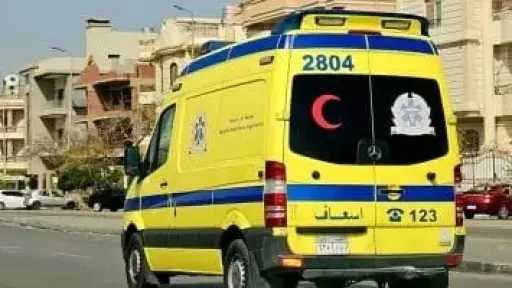 سقوط تلميذة من على سلم مدرسة بالدقهلية ونقلها للمستشفى