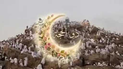 الحج أولًا أم تزويج الأبناء؟.. الإفتاء تحسم الجدل قبل انطلاق موسم حج 1447هـ