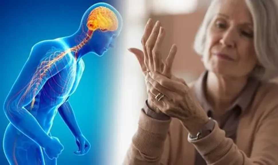علاقة الغذاء بمرض باركنسون.. 5 أطعمة تحمي دماغك وتؤخر أعراض الشيخوخة