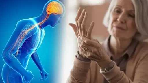علاقة الغذاء بمرض باركنسون.. 5 أطعمة تحمي دماغك وتؤخر أعراض الشيخوخة