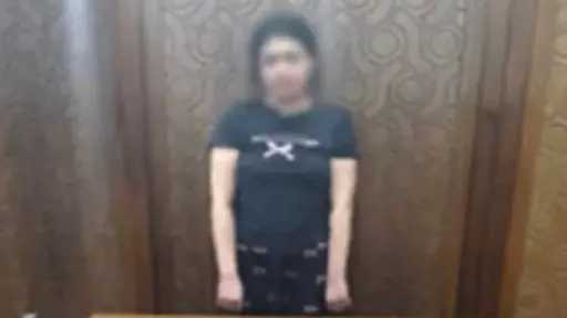 حبس صانعة محتوى بتهمة نشر فيديوهات خادشة للحياء العام