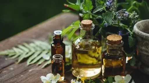 لربات البيوت.. طرق طبيعية فعّالة لـطرد الناموس والذباب من المنزل