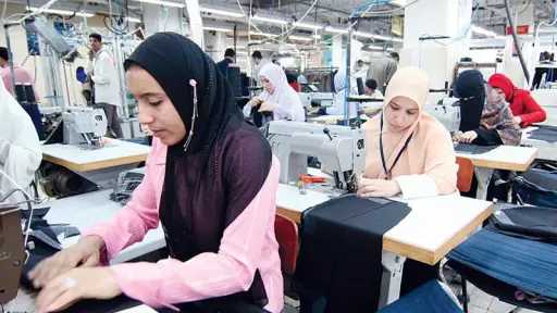 تقرير الإحصاء عن نسب المشتركين في التأمينات الاجتماعية وساعات العمل بمصر