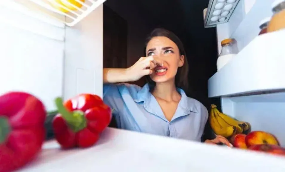 الثلاجة
