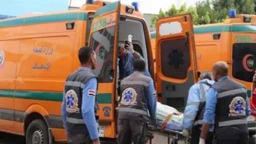 مصرع ربة منزل وإصابة 4 أشخاص في حادث انقلاب سيارة شمال المنيا