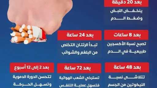 التوقف عن التدخين لدي النساء.. فوائد تبدأ سريعاً وتستمر لسنوات طويلة التوقف عن التدخين لدي النساء.. فوائد تبدأ سريعاً وتستمر لسنوات طويلة