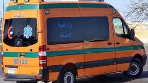 إصابة ربة منزل وزوجها في مشاجرة بالخرطوش بشبرا الخيمة إصابة ربة منزل وزوجها في مشاجرة بالخرطوش بشبرا الخيمة