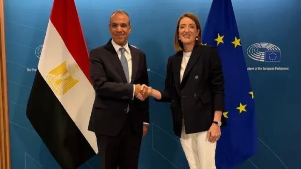 الدكتور بدر عبد العاطي