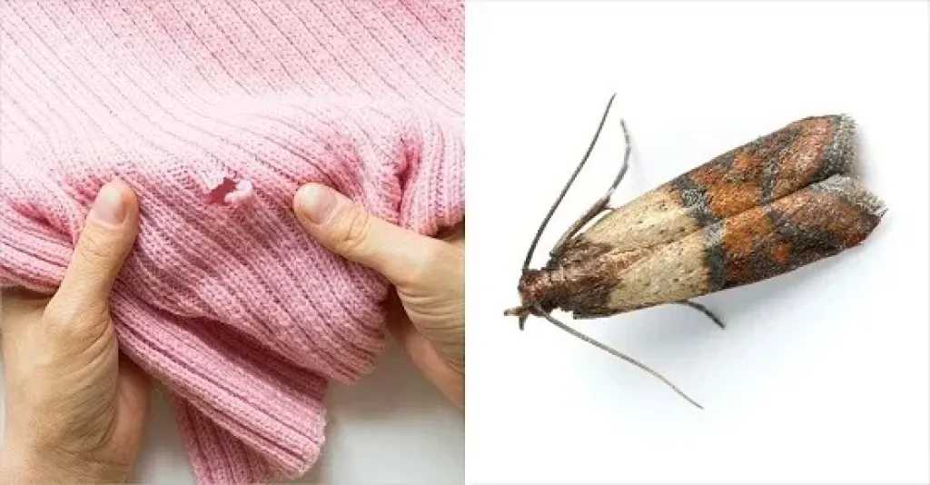 خطوات أساسية لحماية المفروشات الشتوية من التلف عند التخزين