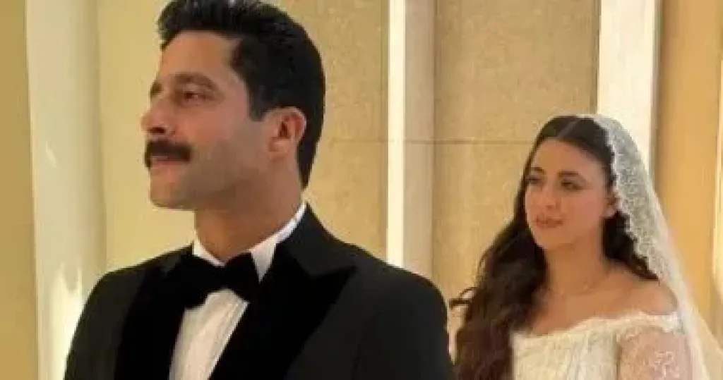 مصطفى منصور والفنانة هايدي رفعت