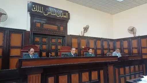جنايات أسيوط تقضي بالمؤبد لشاب و7 سنوات مشددة لفلاح لزواجه من قاصر بغير رضاها