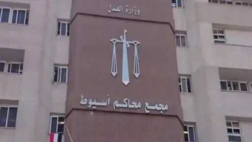 إحالة أوراق ربة منزل وعشيقها إلى المفتي بتهمة قتل زوجها بديروط إحالة أوراق ربة منزل وعشيقها إلى المفتي بتهمة قتل زوجها بديروط