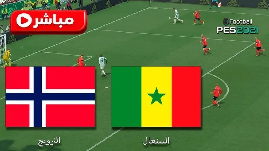 بث مباشر النرويج والسنغال