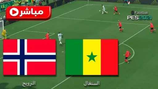 بث مباشر النرويج ضد السنغال في كأس العالم مواجهة مصيرية بين طموح هالاند ورغبة «أسود التيرانجا» في العودة