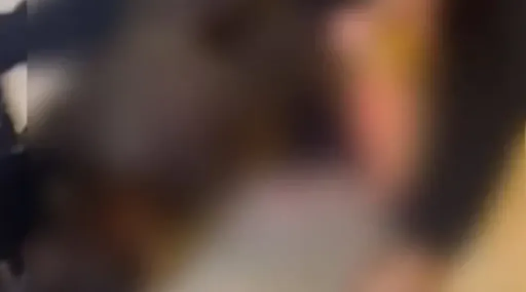 جانب من فيديو التعدي على سيدة