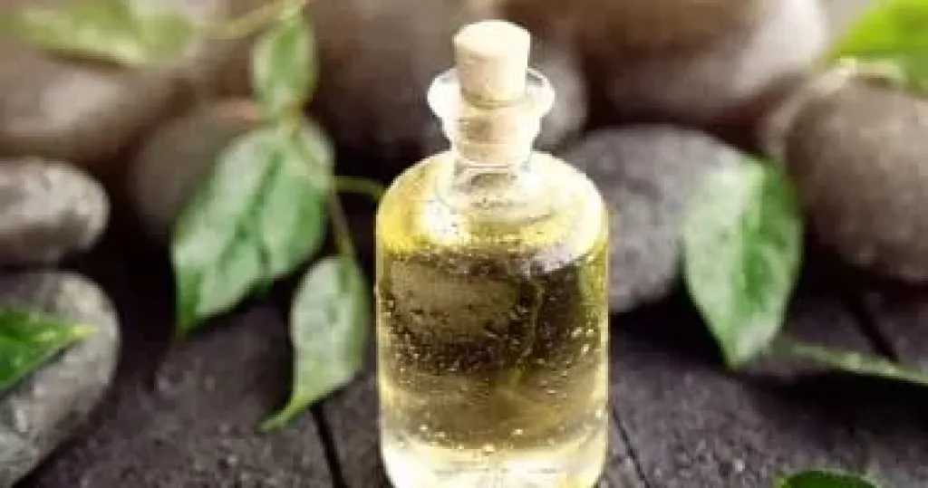 زيت شجرة الشاي.. الحل المثالي لتفتيح البقع الداكنة وتحسين صحة البشرة
