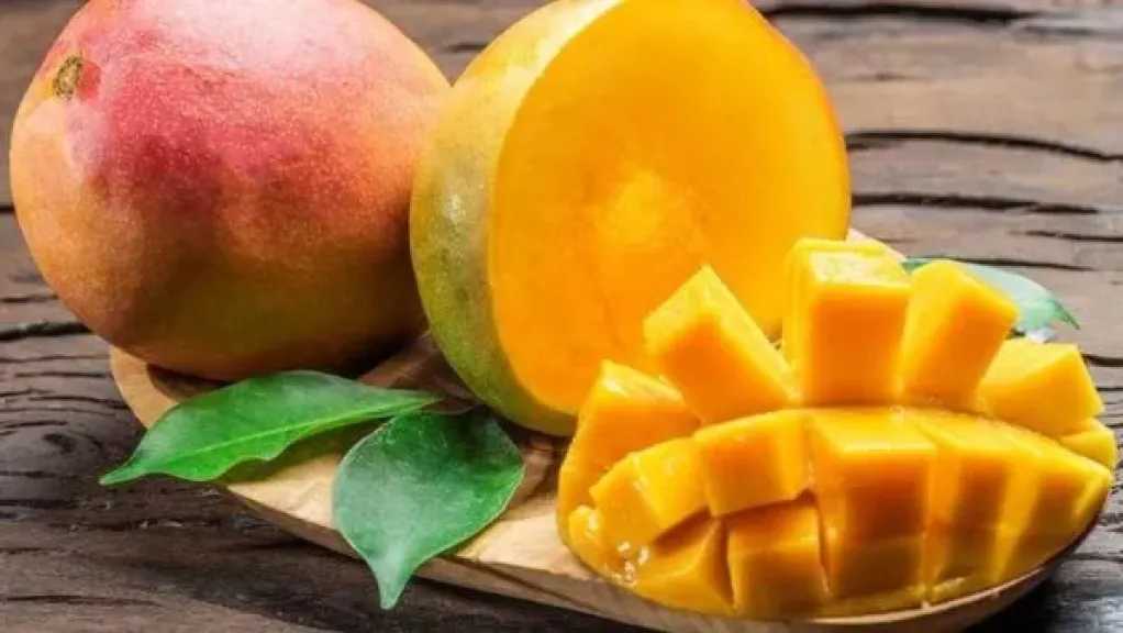 المانجو.. الكنز الصيفي المجهول بفوائده الصحية الرائعة