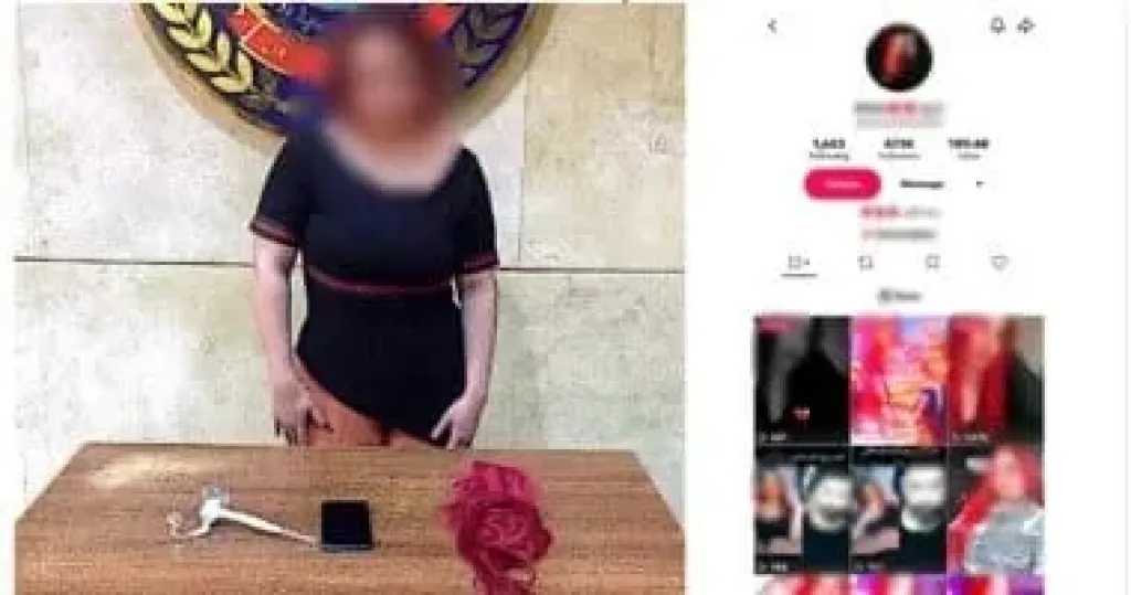 الداخلية تضبط صانعة محتوى لنشرها فيديوهات خادشة للحياء بهدف زيادة المشاهدات
