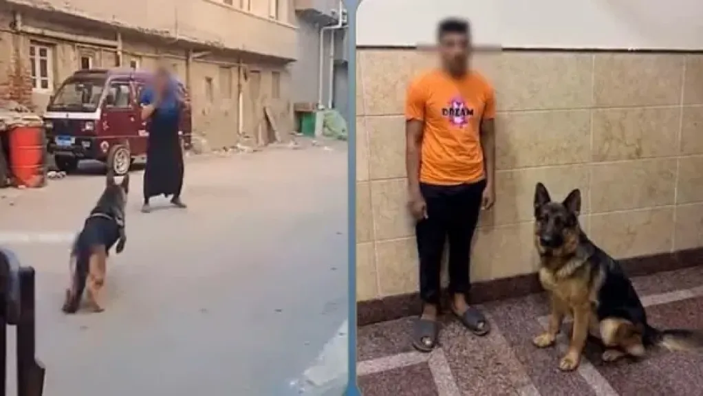 المتهم