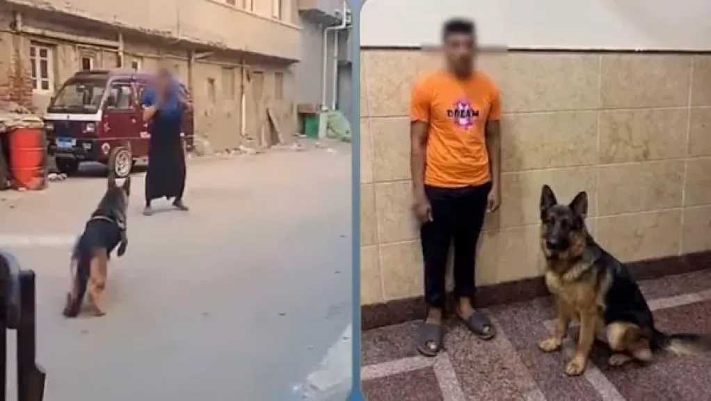 الأمن يكشف ملابسات فيديو دفع كلب لمهاجمة سيدة في البحيرة