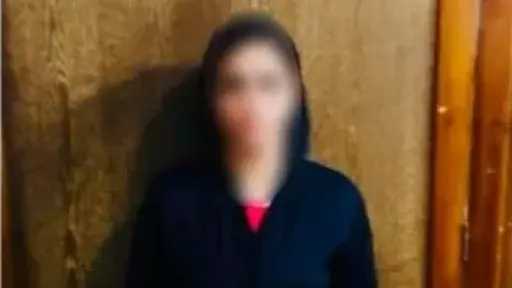 ضبط صانعة محتوى بتهمة نشر مقاطع فيديو تتنافى مع القيم المجتمعية ضبط صانعة محتوى بتهمة نشر مقاطع فيديو تتنافى مع القيم المجتمعية
