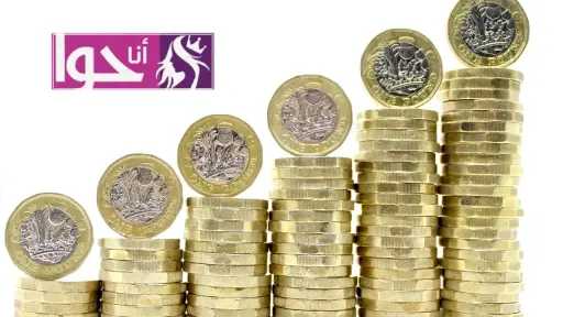 سعر الجنيه الذهب اليوم في مصر.. استقرار عند 46,560 جنيهًا سعر الجنيه الذهب اليوم في مصر.. استقرار عند 46,560 جنيهًا