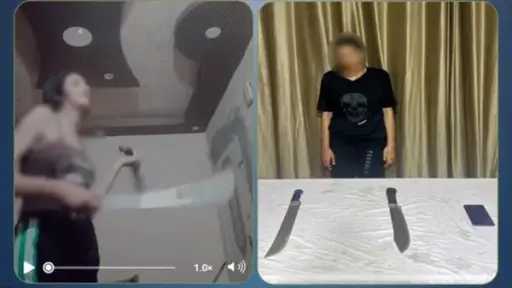 فتاة البحيرة ترقص بالسلاح.. من الشهرة الزائفة إلى الحبس | تفاصيل القبض... فتاة البحيرة ترقص بالسلاح.. من الشهرة الزائفة إلى الحبس | تفاصيل القبض والمحاكمة