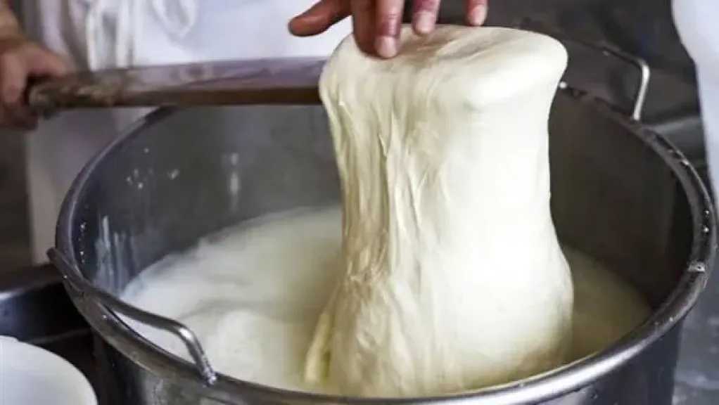 تحويل اللبن الرايب إلى جبن منزلي بسيط ولذيذ