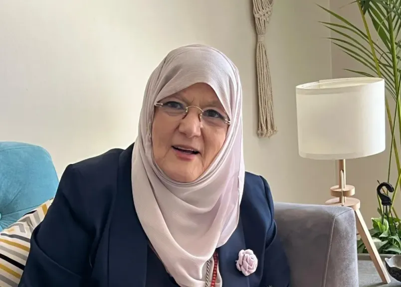 شمس البارودي