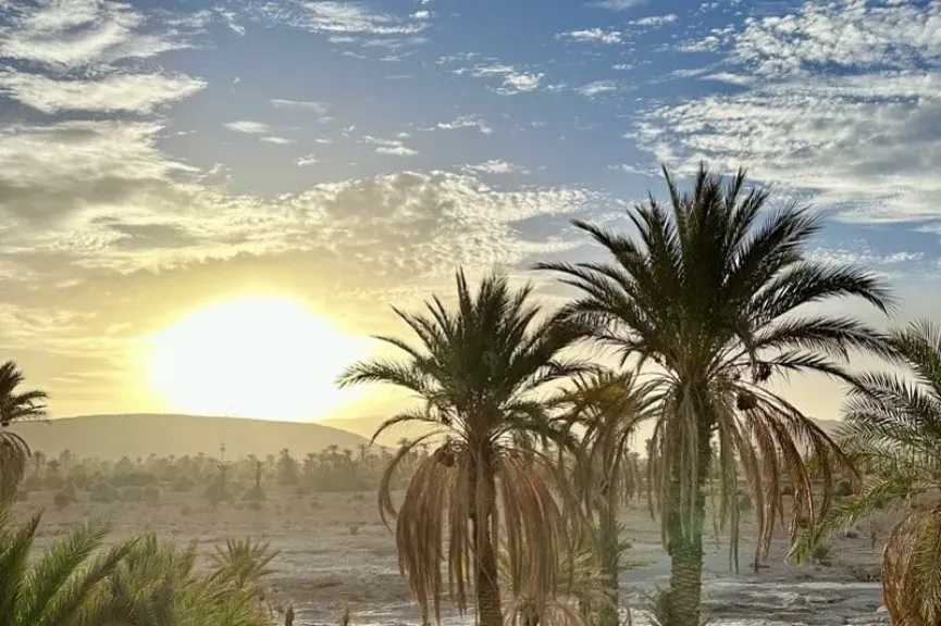 انخفاض 5 درجات.. الأرصاد تبشر بتحسن الطقس غداً الأحد