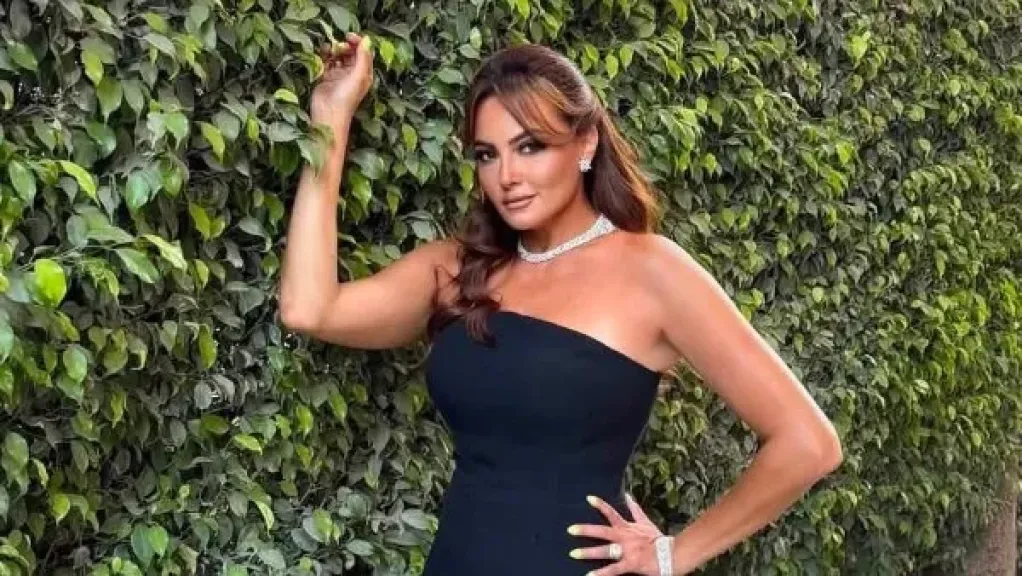 الفنانة بشرى