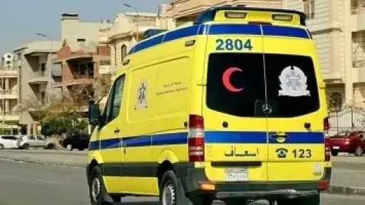 كارثة أسرية بالدقهلية.. أب يعتدي على زوجته وأطفاله بمطرقة لسبب صـ ـادم