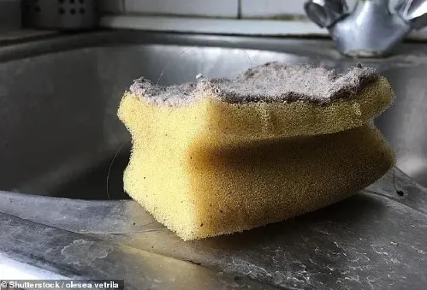 إسفنجة المطبخ