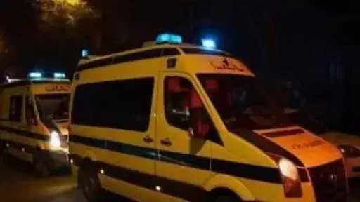شاب يقتل والده ويعتدي على والدته وشقيقه في الإسكندرية شاب يقتل والده ويعتدي على والدته وشقيقه في الإسكندرية