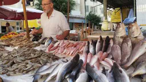 أسعار الأسماك اليوم في سوق العبور.. البلطي من 69 جنيهًا والسبيط حتى... أسعار الأسماك اليوم في سوق العبور.. البلطي من 69 جنيهًا والسبيط حتى 450