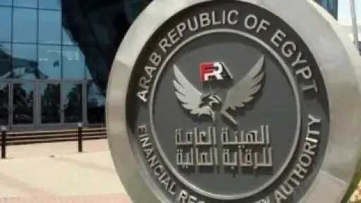 تفوّق النساء في عدد المستفيدين من التمويل متناهي الصغر رغم الفوارق التمويلية تفوّق النساء في عدد المستفيدين من التمويل متناهي الصغر رغم الفوارق التمويلية