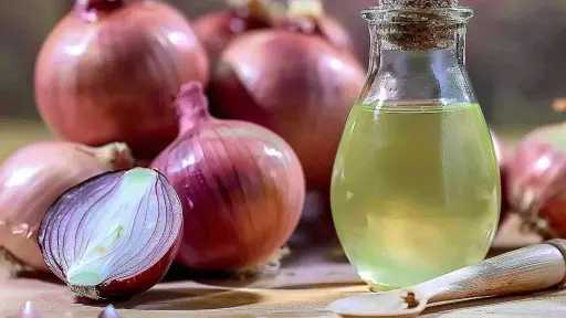 زيت البصل أم الخروع لتساقط الشعر؟ فوائد كل نوع وأفضل طريقة للاستخدام زيت البصل أم الخروع لتساقط الشعر؟ فوائد كل نوع وأفضل طريقة للاستخدام