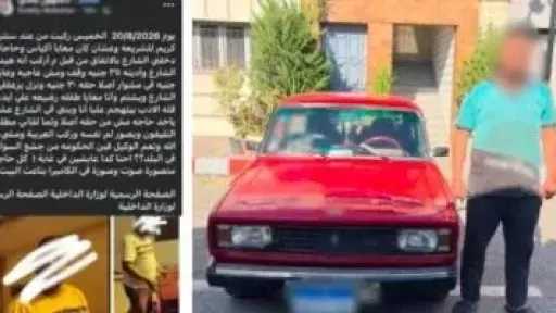 البحيرة.. الداخلية تكشف تفاصيل حادث تعدي على سيدة من قبل قائد سيارة