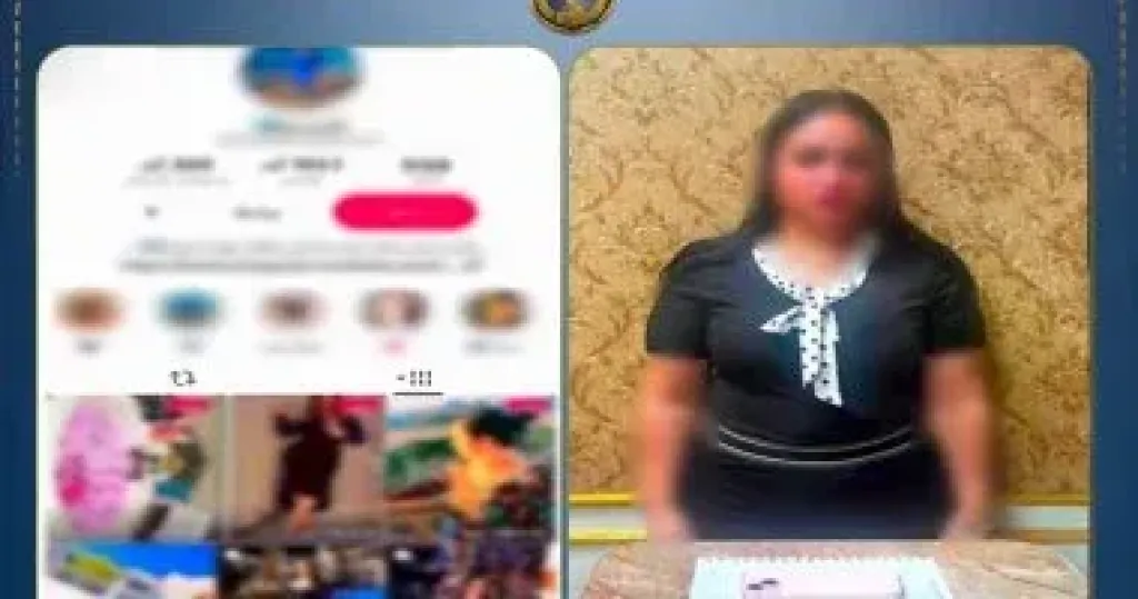 صانعة محتوي