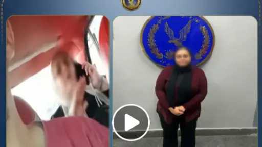 تفاصيل ضبط سيدة ظهرت في فيديو مشادة مع سائق تاكسي بالإسكندرية