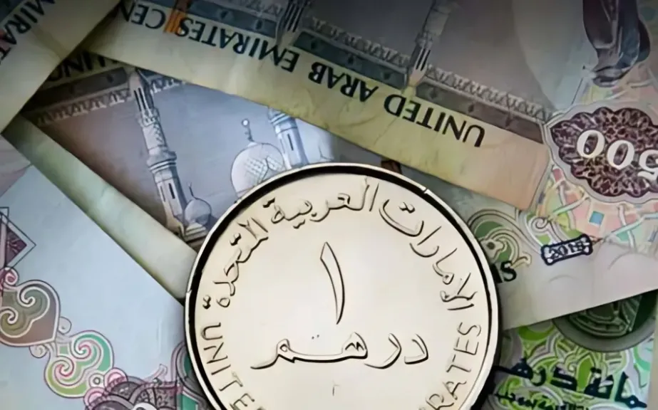 الدرهم الإماراتي