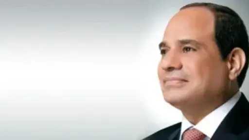 السيسي يصدر قرارًا بإنهاء عضوية د. هيام كمال من المجلس القومي للطفولة والأمومة