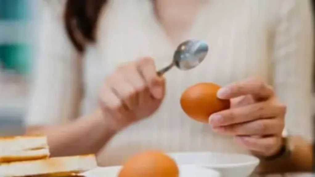 هل البيض يرفع الكوليسترول ويضر قلب النساء؟ دراسة حديثة توضح الحقيقة