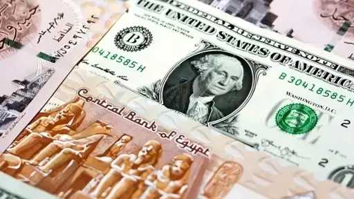 الدولار أمام الجنيه.. سعر العملة الأمريكية اليوم في البنوك المصرية