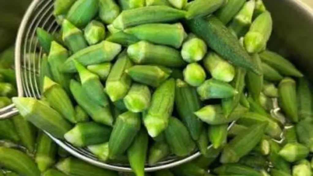 تخزين البامية