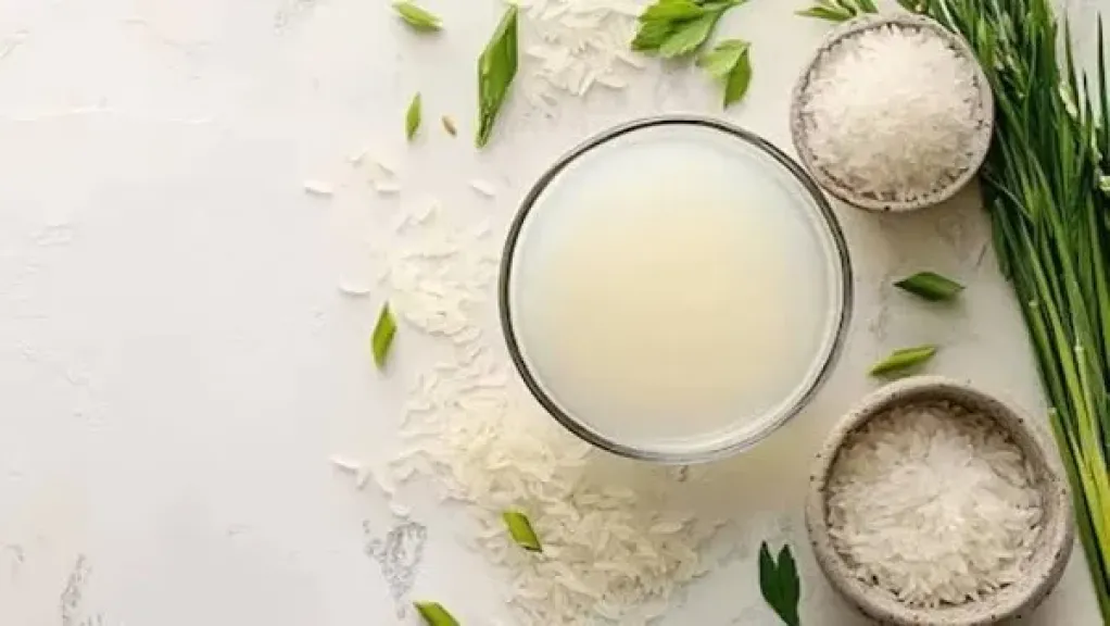 الأرز 