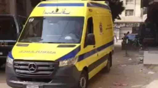 إنقاذ طفلة 3 سنوات بعد سقوطها من الطابق الثاني أثناء اللهو مع... إنقاذ طفلة 3 سنوات بعد سقوطها من الطابق الثاني أثناء اللهو مع أشقائها في الأقصر