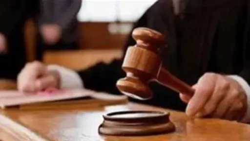 الحبس سنة لصانعة محتوى بتهمة نشر مقاطع عن تعدد الأزواج والإنجاب غير المنسوب